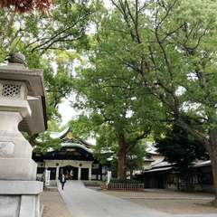 投稿日:2023年11月6日 写真