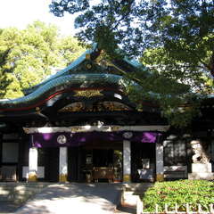 投稿日:2023年12月17日 写真