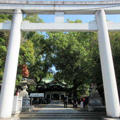 投稿日:2023年11月3日 写真