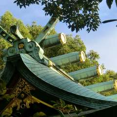 投稿日:2017年11月25日 写真