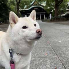 投稿日:2024年10月26日 写真