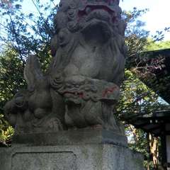 投稿日:2017年11月25日 写真