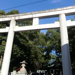 投稿日:2017年11月25日 写真