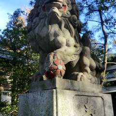 投稿日:2017年11月25日 写真