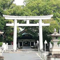 投稿日:2023年11月6日 写真