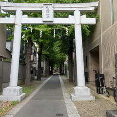 写真