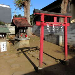 拝殿右手の末社、稲荷神社(右)・夫婦神社(左)(投稿日:2025年12月14日) 写真