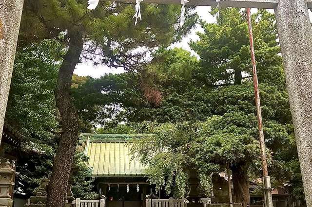 写真