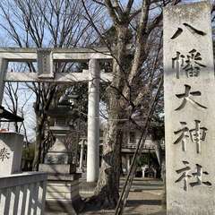 投稿日:2024年3月19日 写真