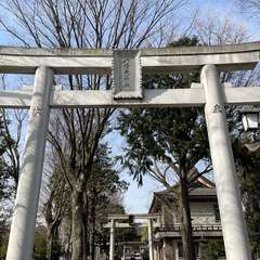 投稿日:2024年3月19日 写真