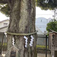 投稿日:2024年3月19日 写真