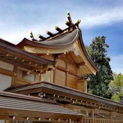 投稿日:2022年4月19日 写真