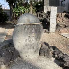 投稿日:2024年3月19日 写真