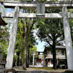 投稿日:2022年4月19日 写真