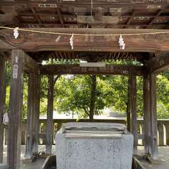 投稿日:2024年3月19日 写真