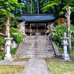 写真
