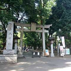 投稿日:2019年11月15日 写真