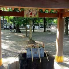 投稿日:2019年11月15日 写真