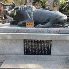 投稿日:2023年2月19日 写真