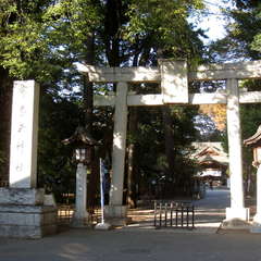 投稿日:2023年11月3日 写真