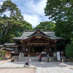 投稿日:2018年1月3日 写真