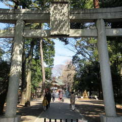 投稿日:2023年2月19日 写真