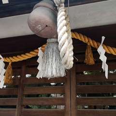 投稿日:2020年5月22日 写真