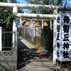 投稿日:2015年10月12日 写真