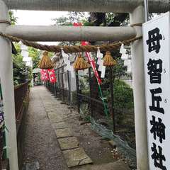 投稿日:2020年5月22日 写真