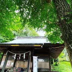 投稿日:2020年7月9日 写真