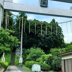 投稿日:2020年7月9日 写真