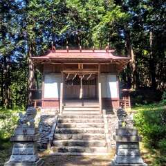 写真