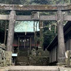 岡田八幡神社(投稿日:2025年3月27日) 写真