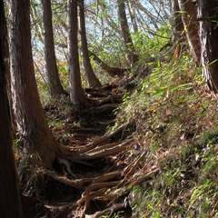 投稿日:2015年12月6日 写真
