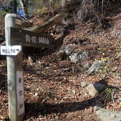 投稿日:2015年12月6日 写真