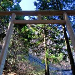 投稿日:2015年12月6日 写真