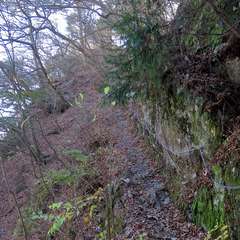 投稿日:2015年12月6日 写真