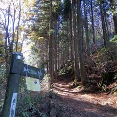 投稿日:2015年12月6日 写真