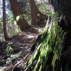 投稿日:2015年12月6日 写真