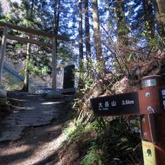 投稿日:2015年12月6日 写真