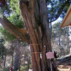 投稿日:2015年12月6日 写真