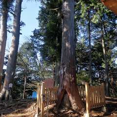 投稿日:2015年12月6日 写真