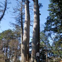 投稿日:2015年12月6日 写真