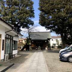 投稿日:2025年1月17日 写真