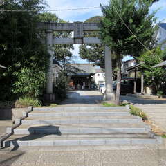 投稿日:2023年10月15日 写真