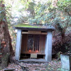 愛宕神社 不動堂(投稿日:2024年11月22日) 写真