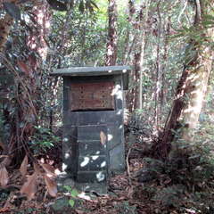 荒嶋明神(投稿日:2024年11月22日) 写真