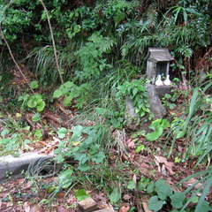 明神様(投稿日:2024年9月5日) 写真