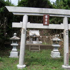 龍音様(投稿日:2024年9月5日) 写真