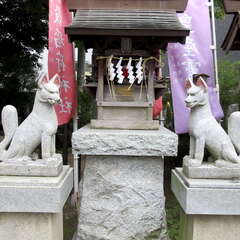 渋江白髭神社末社・稲荷神社(投稿日:2025年11月10日) 写真
